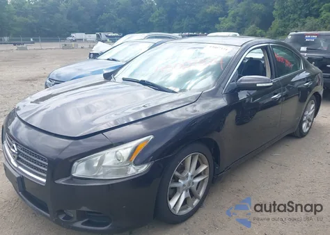 2010 Nissan Maxima 3.5 Sv z USA, uszkodzony, nr VIN 1N4AA5AP3AC841973